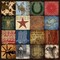 Cowboy Patch Poster Print by Stephanie Marrott - Item # VARPDXSM10618
